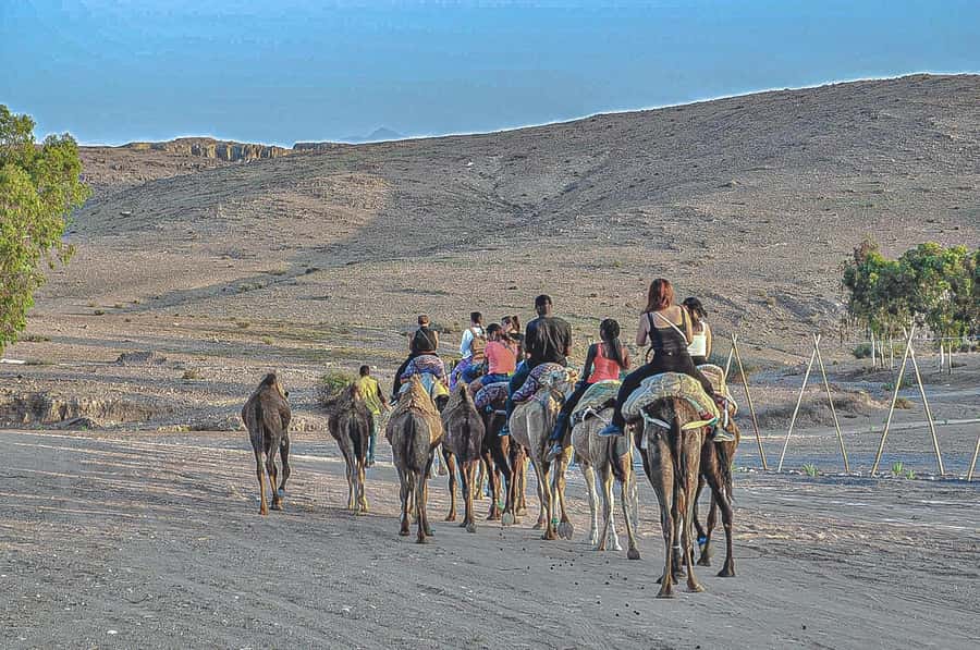Marrakech: Agafay Desert Dinner, Camel Ride, & Show - Is $14 good value?