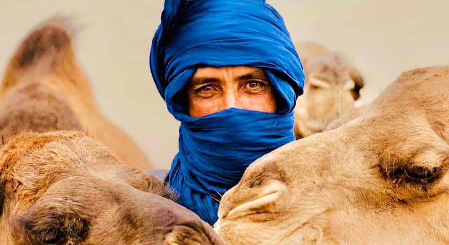 Marrakech: Agafay Desert Dinner, Camel Ride, & Show - The argan oil cooperative stop