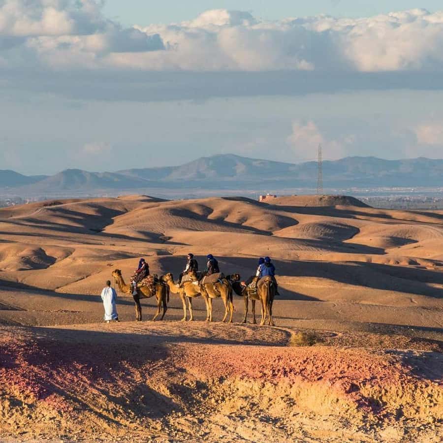 Marrakech: Agafay Desert Dinner Show with Sunset Camel Ride - Who will enjoy this Agafay evening most?