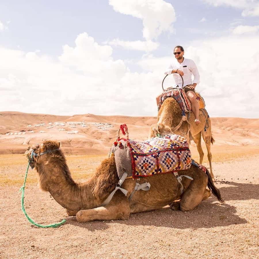Marrakech: Agafay Desert Dinner with Music and Fire Show - Dinner on cushions under the open sky