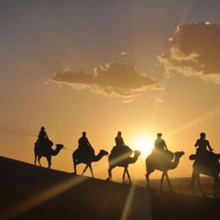 Marrakech: Agafay Desert Dinner with Music and Fire Show - Berber music and dancing are the strongest act