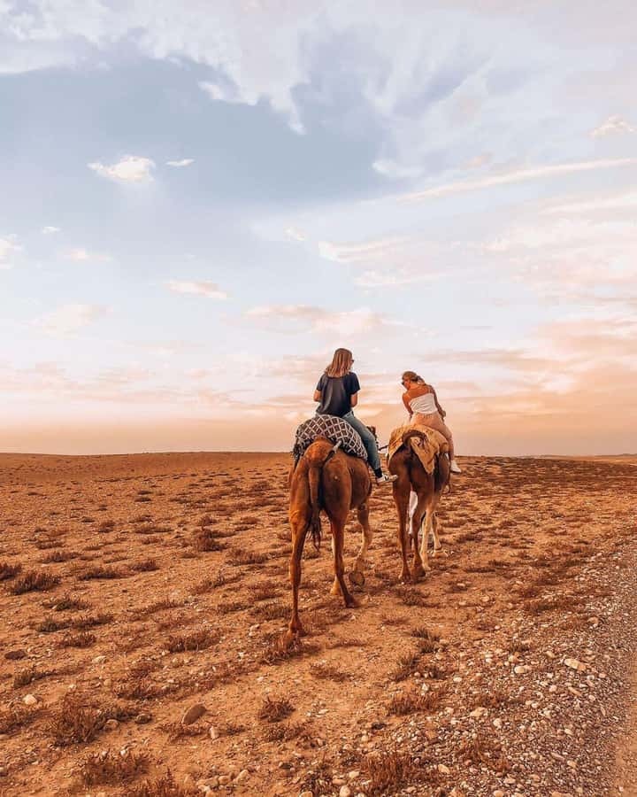 Marrakech: Agafay Desert Escape with Quad or Camel Ride - Moroccan dinner under the evening sky