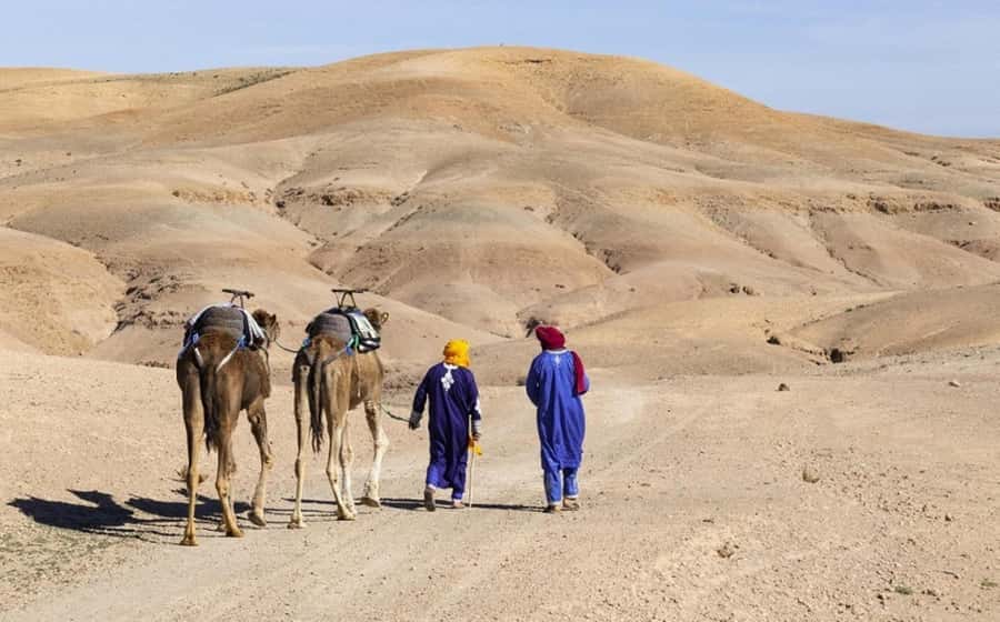 Marrakech: Agafay Desert, Lunch, Camel Ride, & Swimming Pool - Lunch, music, and the pool camp