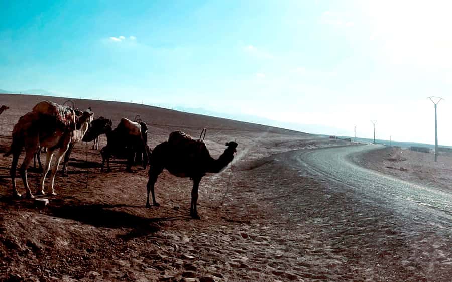 Marrakech: Agafay Desert Quad Bike Tour with Moroccan Tea - Riding across the two-hour Agafay route