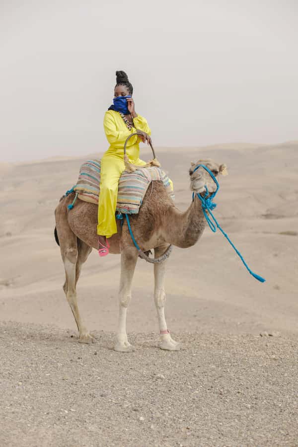 Marrakech: Agafay Desert Quad Bike with Camels & Dinner Show - Who should book this experience?