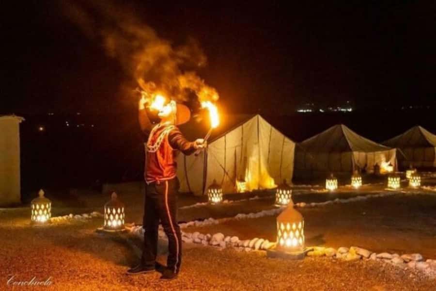 Marrakech: Agafay Desert Quad Biking with Dinner & Show - Quick take: what matters most