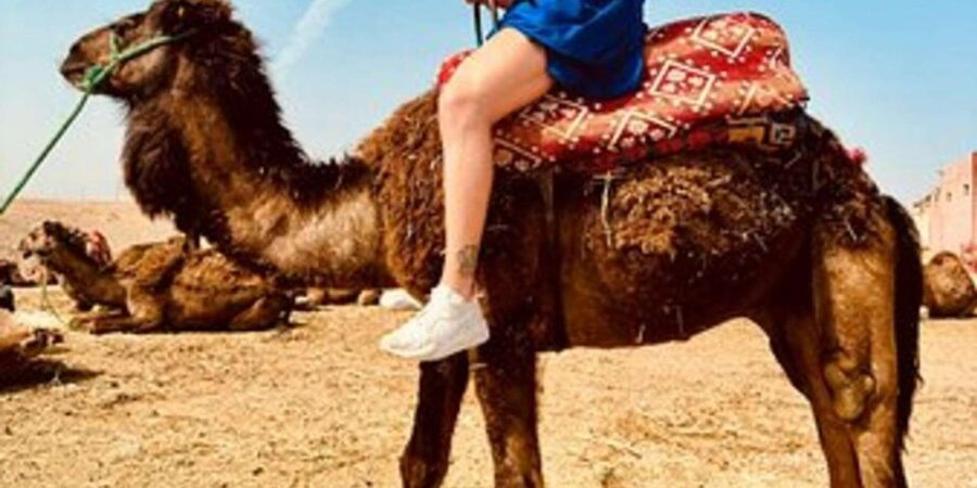 Marrakech: Agafay Desert Quad Biking with Dinner Show - Who should book this outing