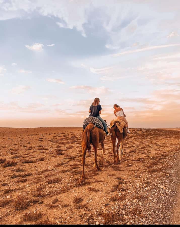 Marrakech: Agafay Desert Quad, Camel Ride & Dinner Show - Should you book it?