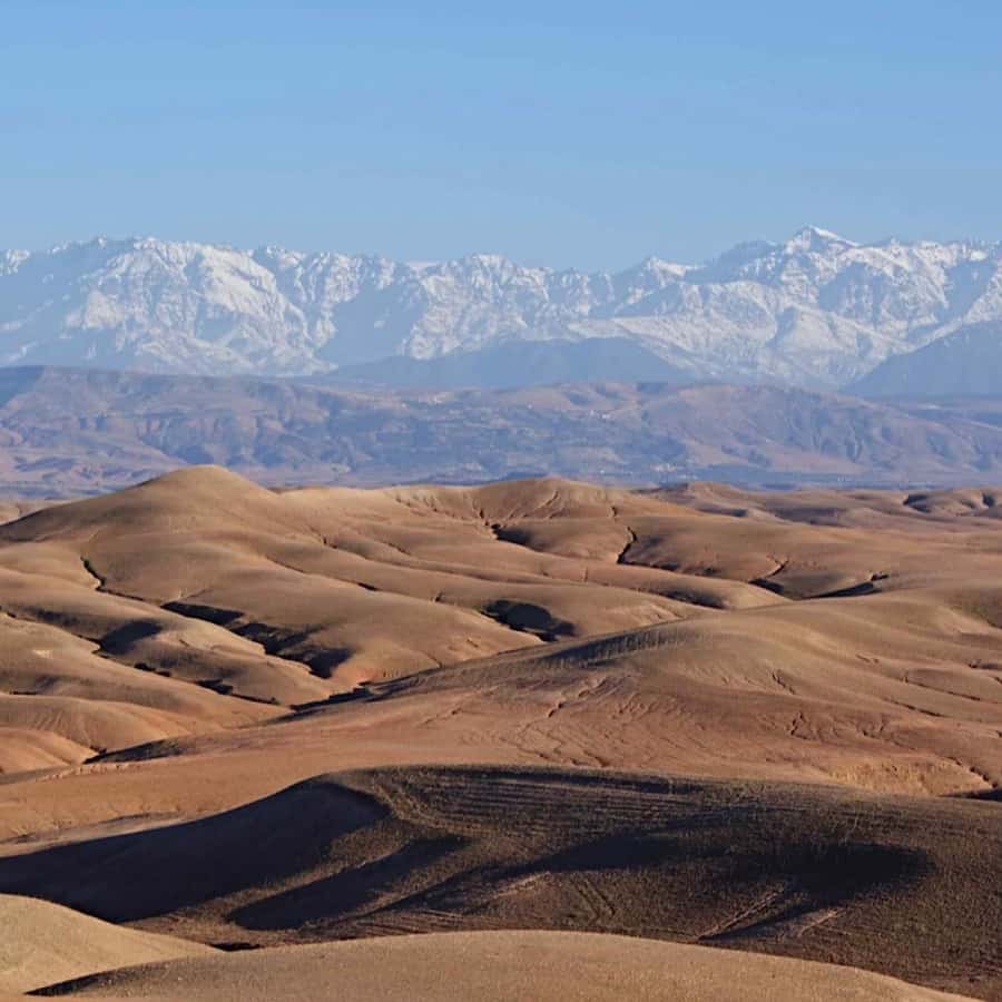 Marrakech: Agafay Desert Quad & Camel Rides with Dinner Show - The argan oil cooperative adds a useful cultural stop