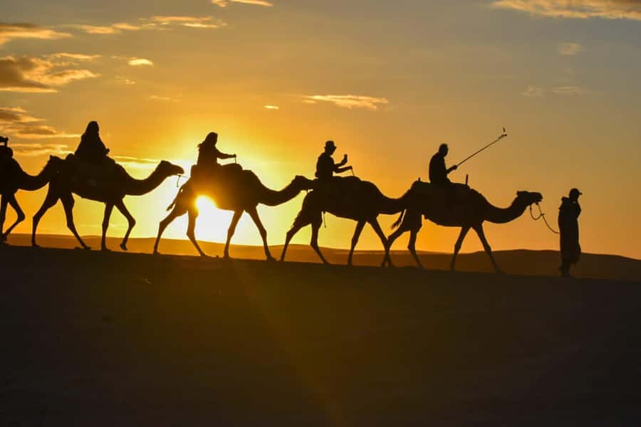 Marrakech: Agafay Desert Sunset, Camel Ride, and Dinner Show - Who should book this Agafay evening?
