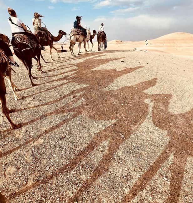 Marrakech: Agafay Desert Sunset, Camel Ride, Dinner and Show - What the Guides Add to the Evening