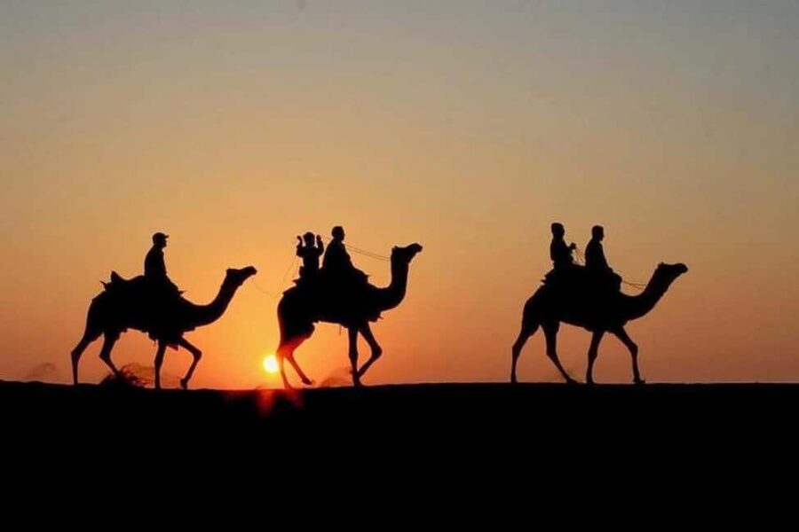 Marrakech: Agafay Desert Sunset, Camel Ride, Dinner and Show - Transport, Comfort, and Practical Limits