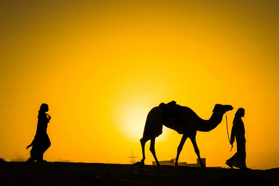 Marrakech : Agafay Desert Sunset Camel Ride & Luxury Dinner - The camel ride and the best sunset photographs
