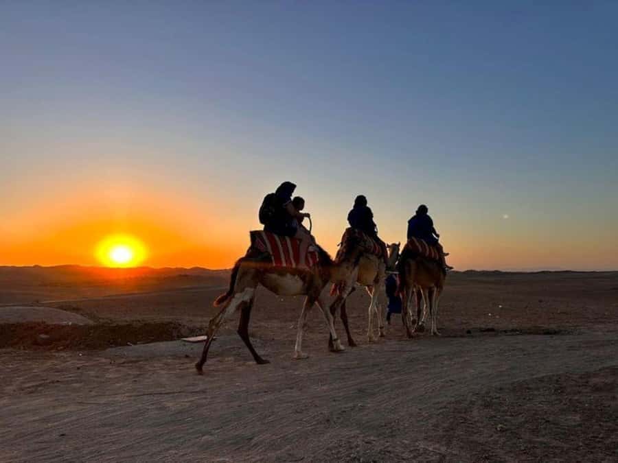 Marrakech: Agafay Desert Trip with Activities and Dinner - Guides and the human side of the trip