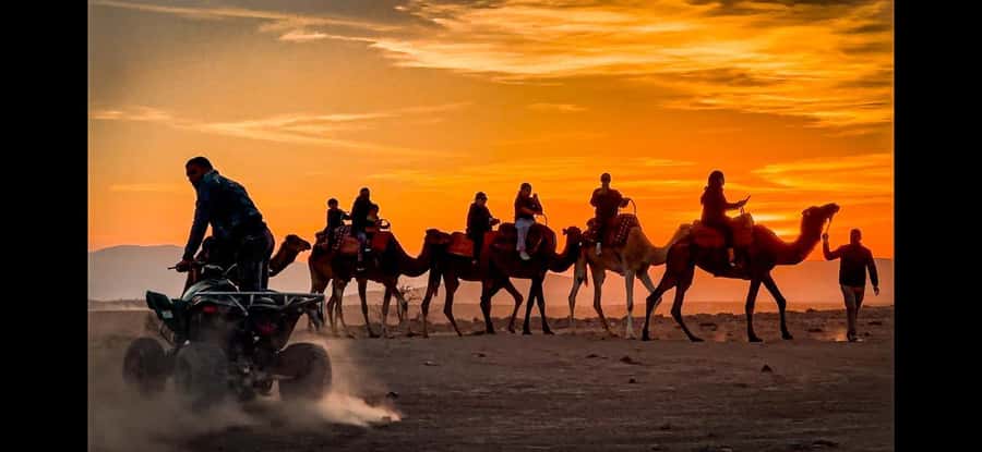 Marrakech: Agafay Dinner Show, Camel Ride, Quad, or Buggy - A 20-minute camel ride at sunset