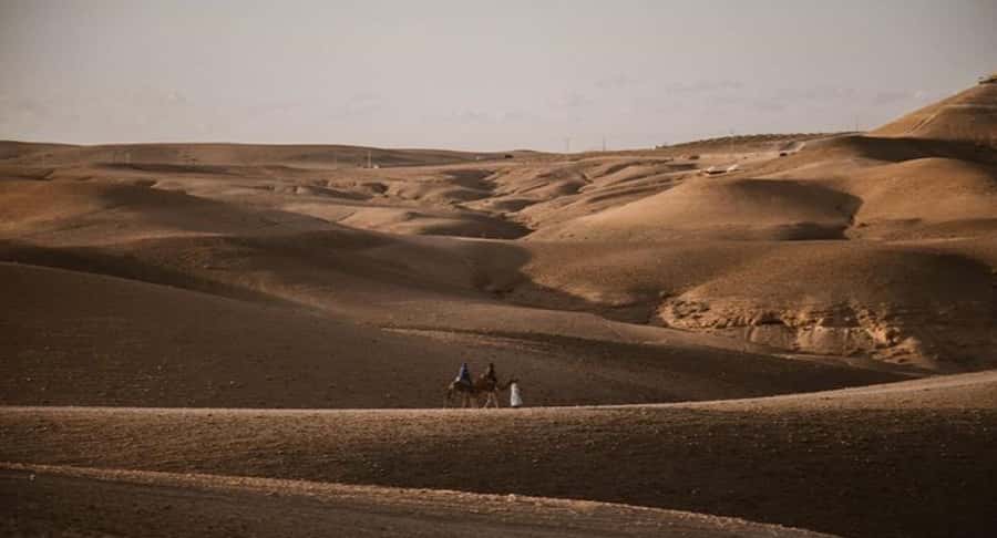 Marrakech: Agafay Ds Sunset with Dinner, Show & Tuareg Music - Dinner under the Agafay stars