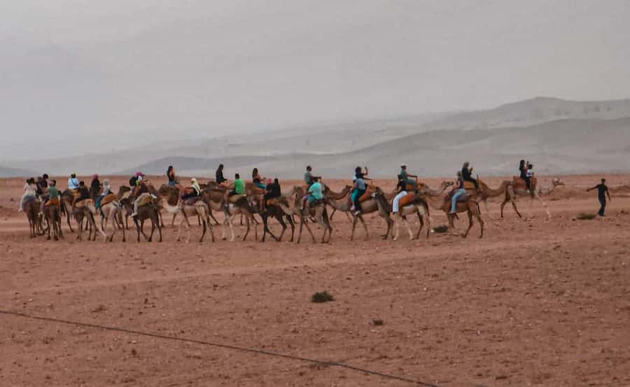 Marrakech: Agafay Ds Sunset with Dinner, Show & Tuareg Music - Berber and Tuareg music after dark