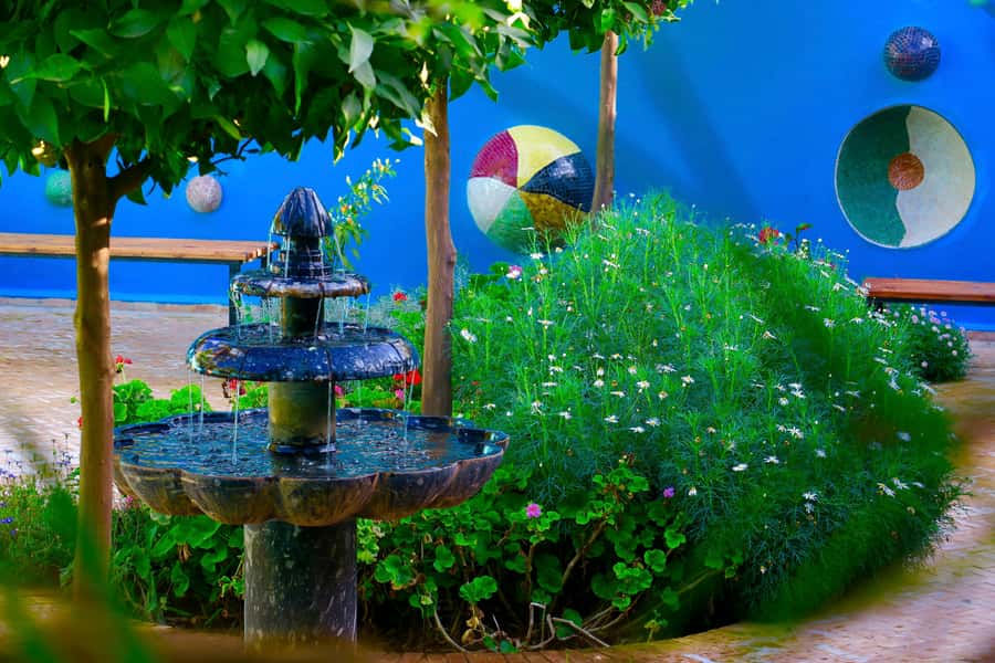 Marrakech: André Heller's ANIMA Garden Ticket - Practical details that affect your day