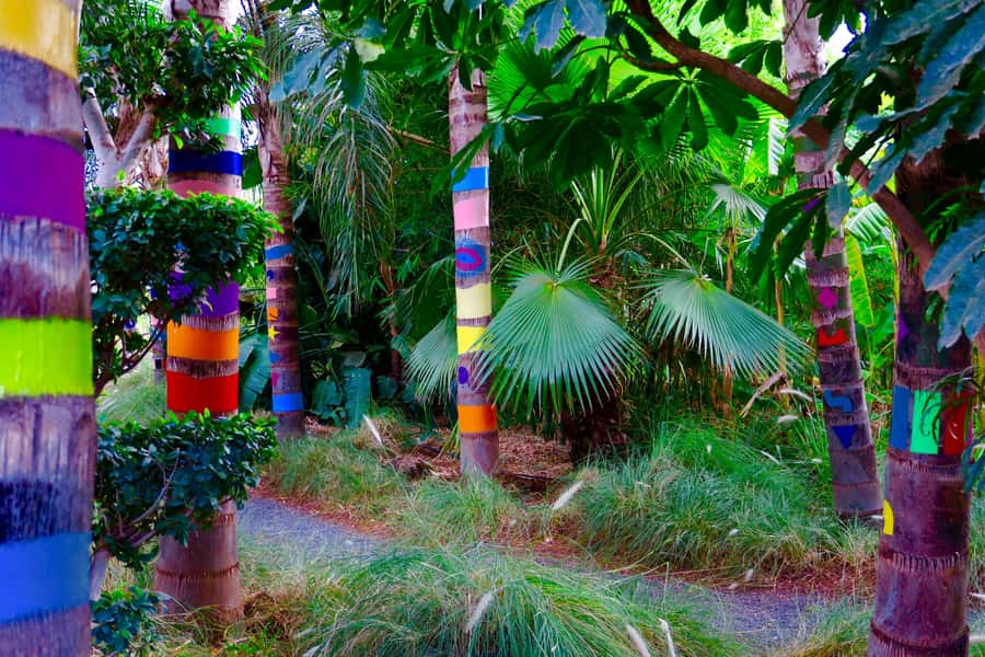 Marrakech: André Heller's ANIMA Garden Ticket - The best time to plan your visit