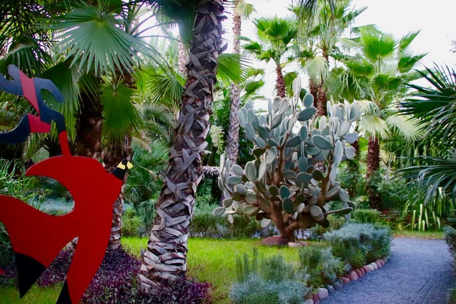 Marrakech: André Heller's ANIMA Garden Ticket - Who will get the most from ANIMA
