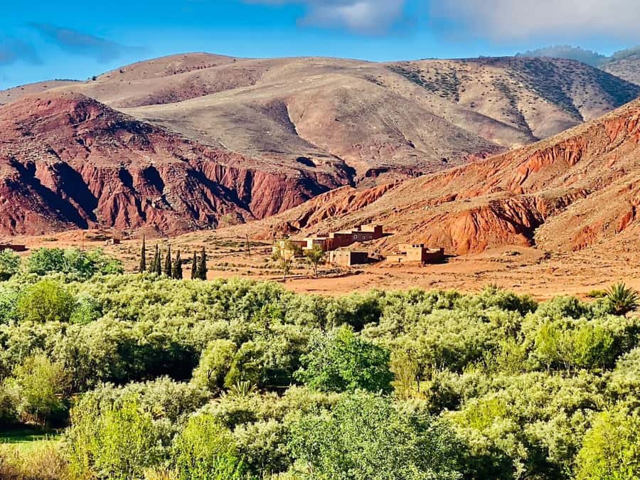 Marrakech: Atlas Mountain, Berber Villages, & Valleys Tour - From Jamaa El-Fna to the High Atlas foothills