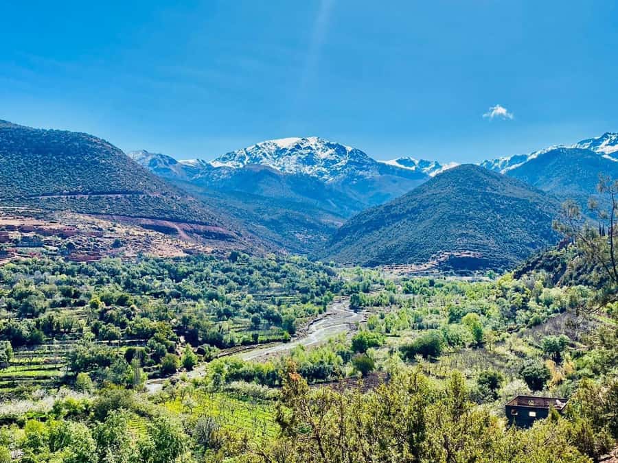 Marrakech: Atlas Mountain, Berber Villages, & Valleys Tour - Mint tea with a Berber family and lunch