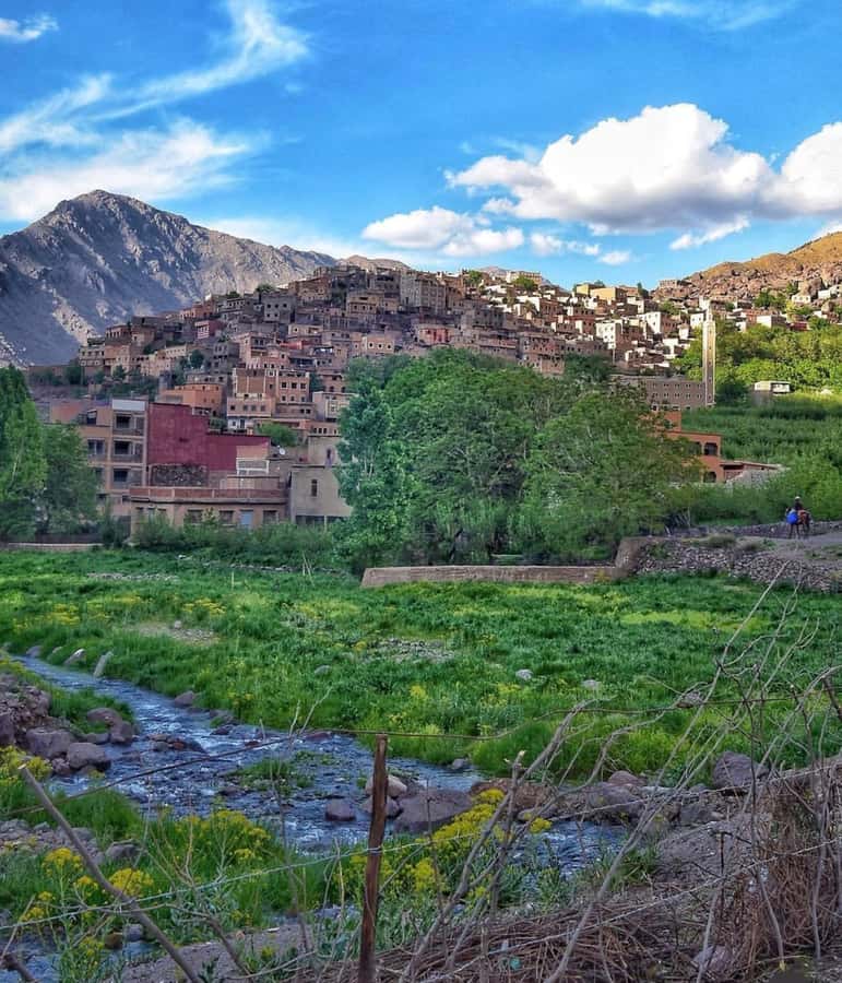 Marrakech: Atlas Mountain, Berber Villages, & Valleys Tour - Imlil, Toubkal National Park, and the mountain guide