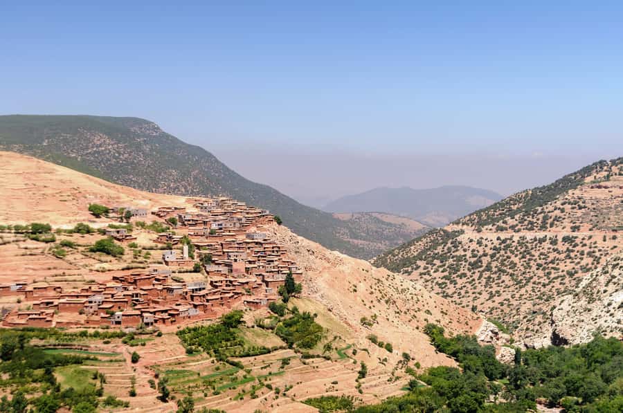 Marrakech: Atlas Mountains & Agafay Desert Tour w Camel Ride - Guides, Group Size, and the Human Side