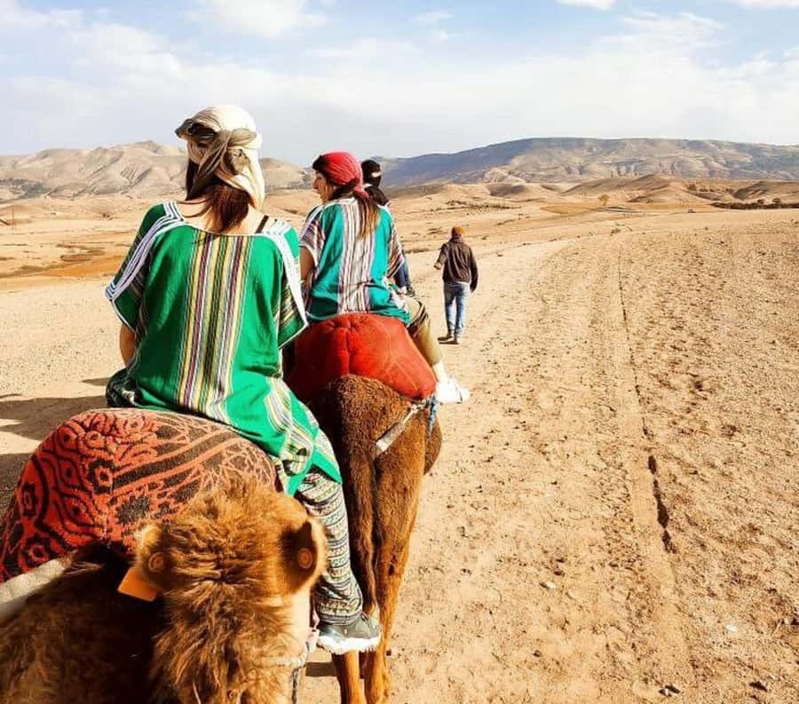Marrakech: Atlas Mountains, Agafay Desert, Waterfall & Lunch - Key points to know before booking