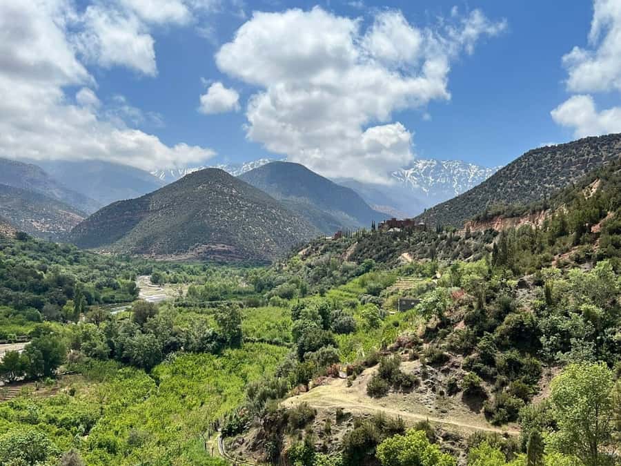 Marrakech: Atlas Mountains, Agafay Desert, Waterfall & Lunch - Tuesday and Saturday market time
