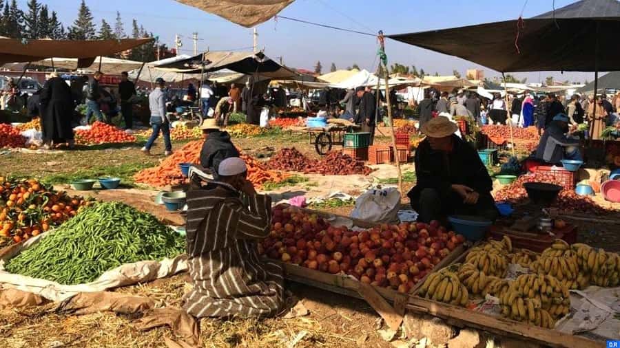 Marrakech: Atlas Mountains, Agafay Desert, Waterfall & Lunch - Guides, drivers, and the human side of the day
