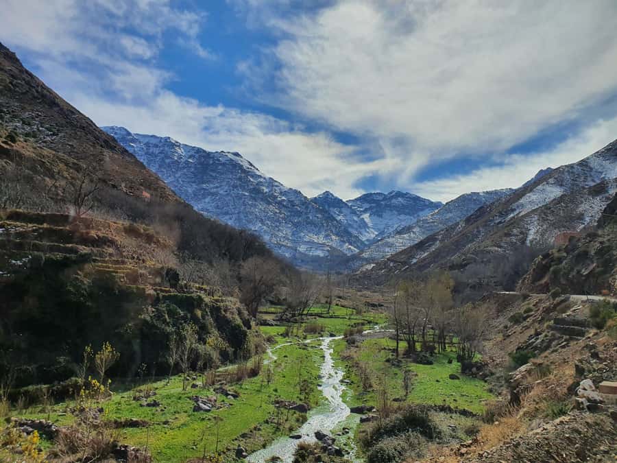 Marrakech: Atlas Mountains, Agafay Desert, Waterfall & Lunch - The camel ride and Agafay-style scenery