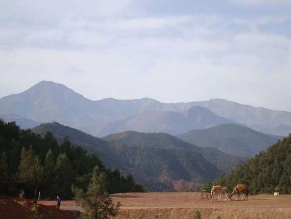 Marrakech: Atlas Mountains, Berber Villages, Agafay & Camel Ride - Key points at a glance