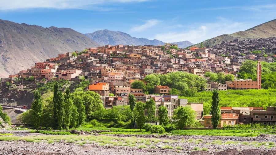 Marrakech: Atlas Mountains, Camel Ride, Waterfalls, & Lunch - Argan oil, mint tea, and a generous Moroccan breakfast