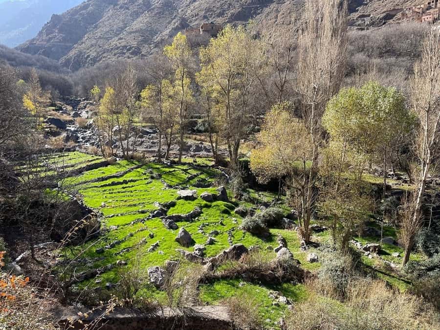 Marrakech: Atlas Mountains, Camel Ride, Waterfalls, & Lunch - Choosing a guide and managing the pace