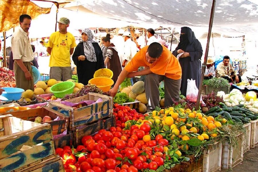Marrakech: Atlas Mountains, Camel Ride, Waterfalls, & Lunch - What to bring and who should book