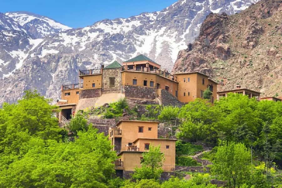 Marrakech: Atlas Mountains Day Trip, 3 Valleys & Waterfalls - The argan oil stop: useful, but not for everyone