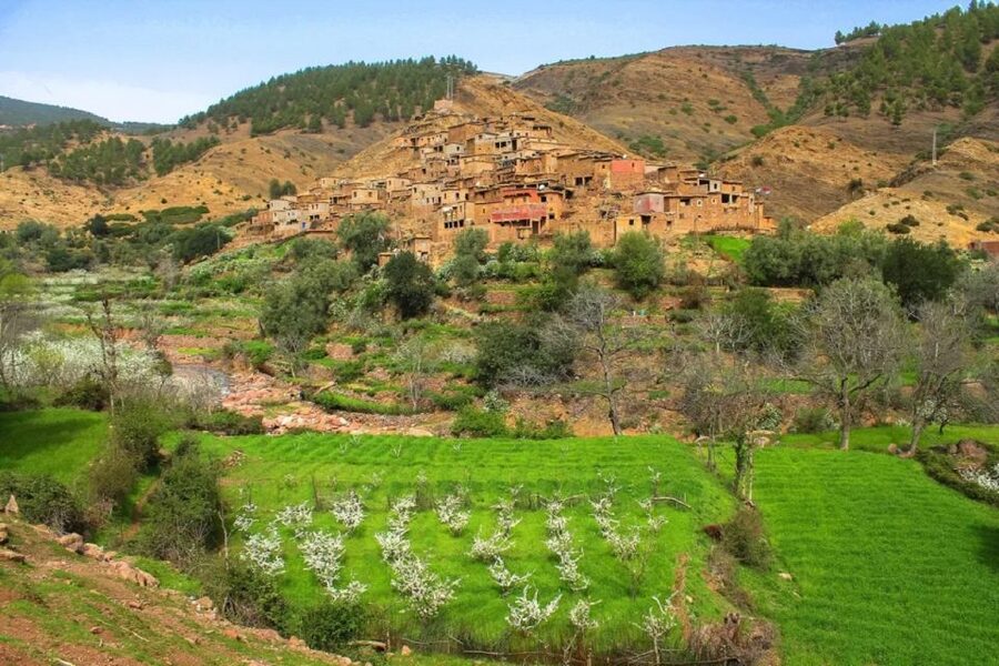 Marrakech: Atlas Mountains Day Trip, 3 Valleys & Waterfalls - A Berber lunch at a family home