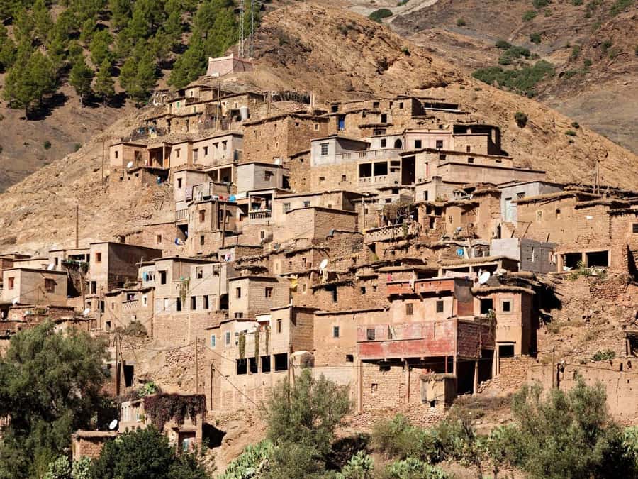 Marrakech: Atlas Mountains Day Trip, 3 Valleys & Waterfalls - A 25-minute camel ride with mint tea