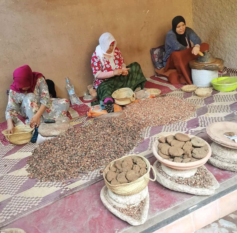 Marrakech: Atlas Mountains, Ourika Valley, Waterfall & Guide - Key points to know before booking