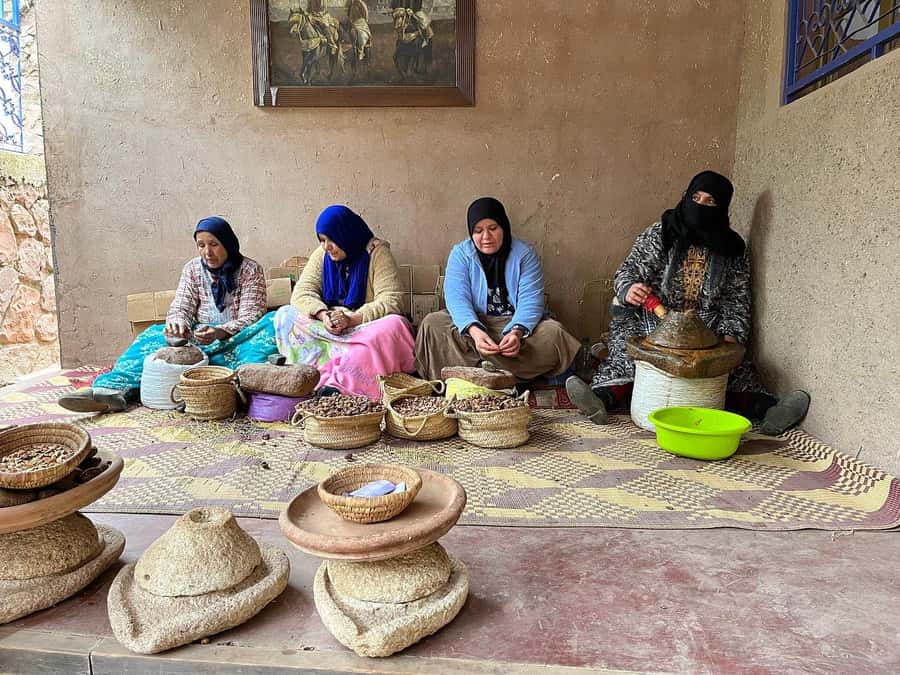 Marrakech: Atlas Mountains, Ourika Valley, Waterfall & Guide - Who should book this Ourika Valley outing?