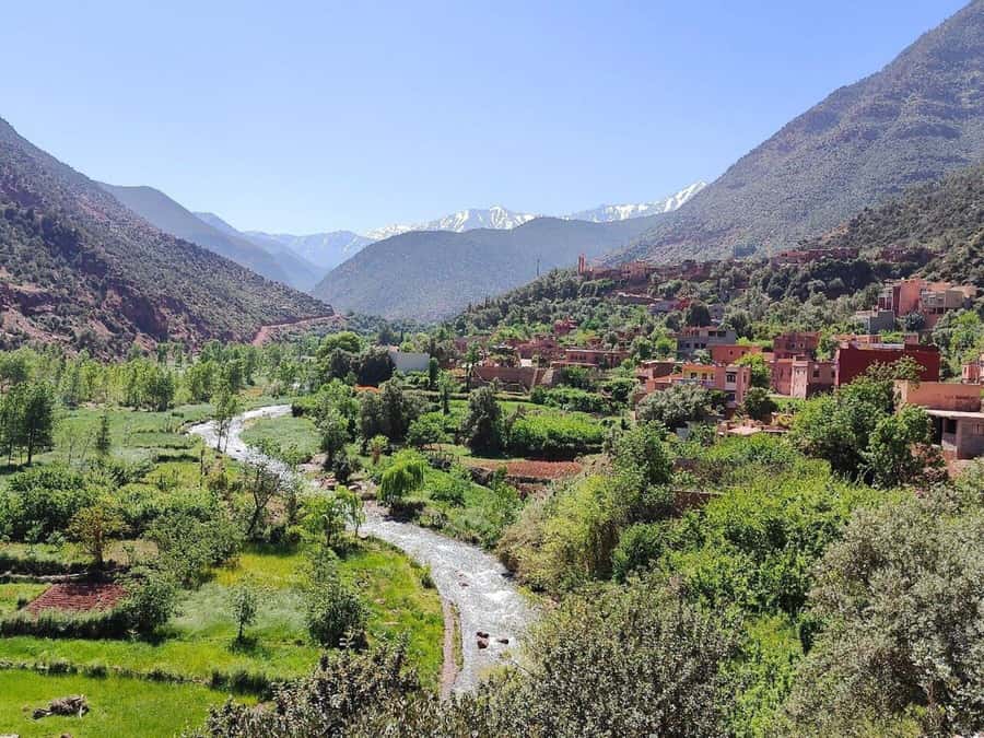 Marrakech: Atlas Mountains, Ourika Valley, Waterfall & Lunch - The 1.5-hour walk to Setti Fadma waterfalls