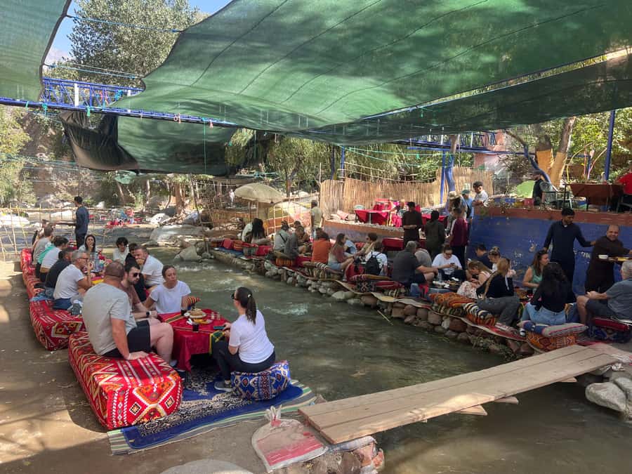 Marrakech: Atlas Mountains, Ourika Valley, Waterfall & Lunch - Guides, drivers, and the shared transport experience
