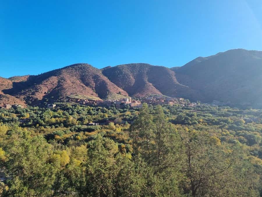 Marrakech: Atlas Mountains, Ourika Valley, Waterfall & Lunch - Is this $16 Ourika Valley tour worth booking?