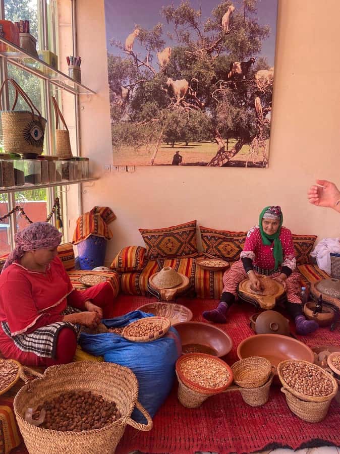Marrakech: Atlas Mountains, Ourika Valley with Guide & Lunch - Practical advice for a smoother day