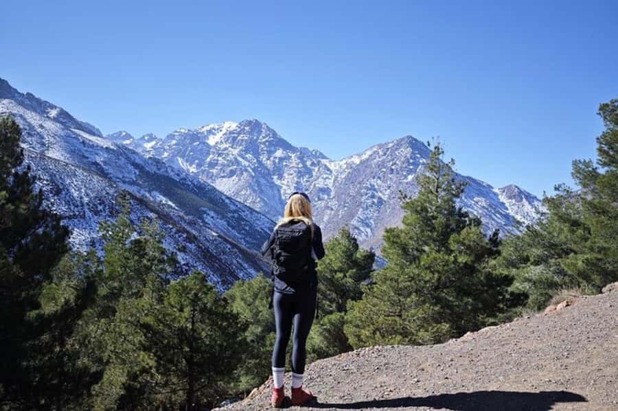 Marrakech: Atlas Mountains Summit Day Trek 2700m - How hard is the hike?