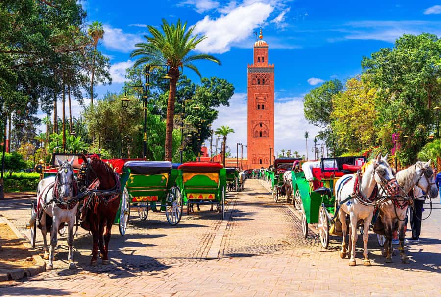 Marrakech: Bahia Palace, Madrasa Ben Youssef & Secret Garden - Key points at a glance