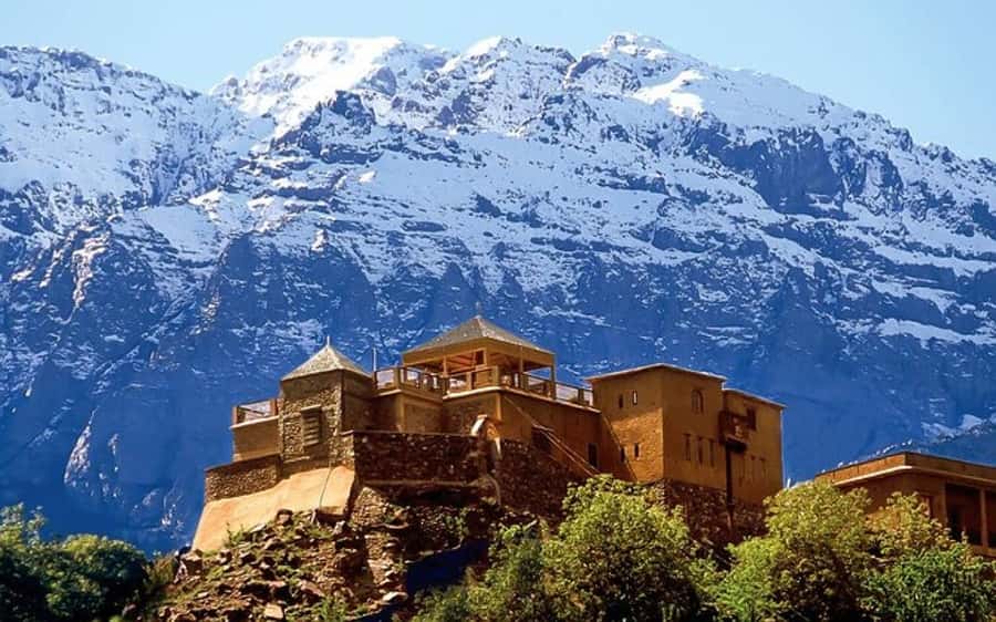 Marrakech: Berber Spa and Traditional Hammam with Steam Room - The 40-minute argan oil massage