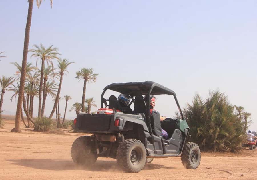 Marrakech: Buggy Experience at Palmeraie with Hotel Pickup - A Fast Route From Marrakech to the Palmeraie