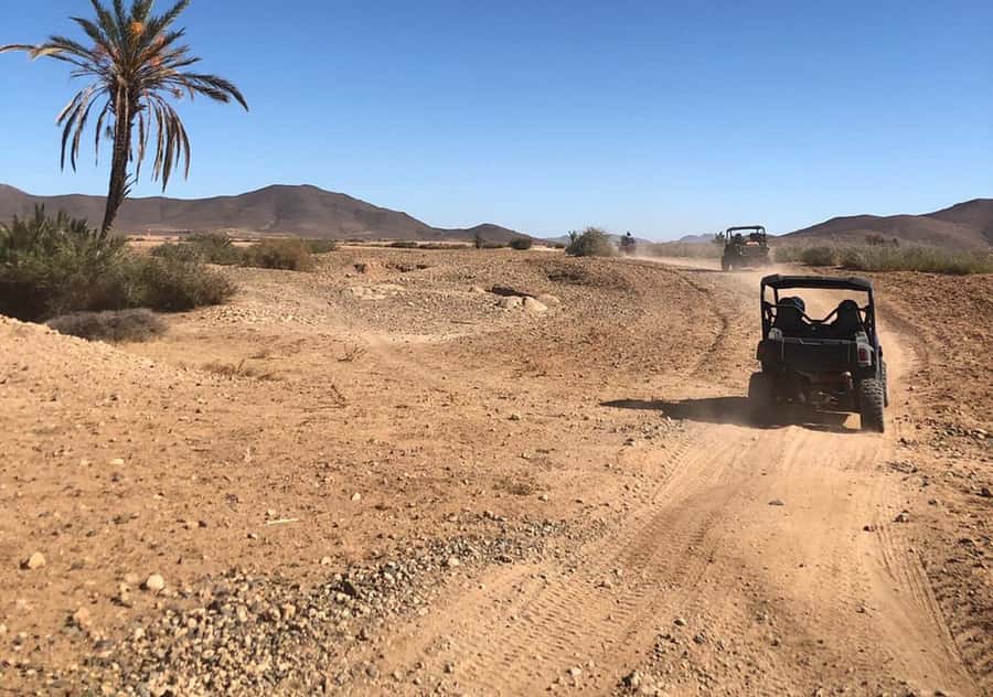 Marrakech: Buggy Experience at Palmeraie with Hotel Pickup - The Tea Stop at a Traditional Villa